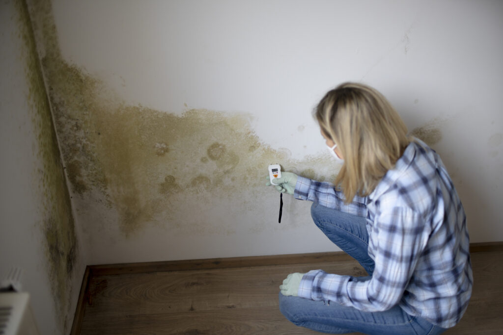 Best paint company in kerala